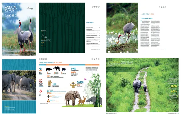 Wildlife Annual Report research communication design
