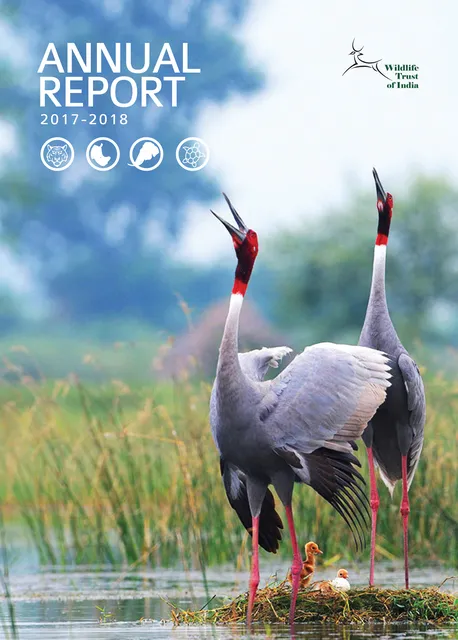 WTI Conservation Report research communication design